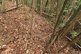 美作 福田城の写真