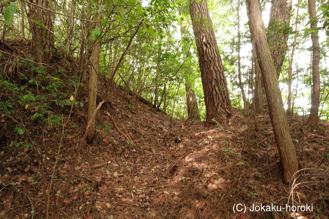 美作 岩明山城の写真