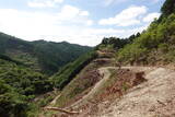 美作 岩明山城の写真