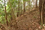 美作 岩明山城の写真