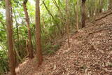 美作 岩明山城の写真
