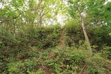 美作 鉢伏城の写真