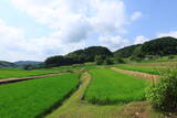 美作 平福寺城の写真