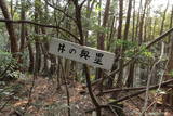 美作 井ノ奥砦の写真