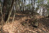 美作 石蕨砦の写真