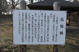 美作 岩屋城の写真