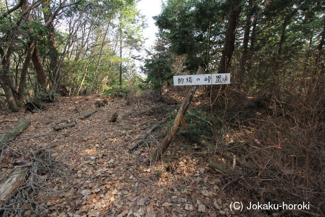 美作 的場ノ峠砦の写真