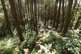 美作 楽万の上砦の写真