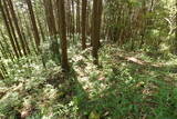 美作 楽万の上砦の写真