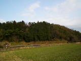 美作 加賀尾城の写真