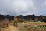 美作 神楽尾城の写真