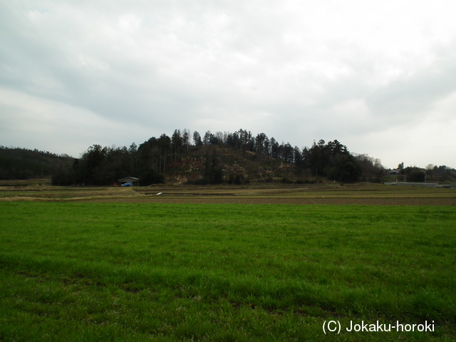 美作 比丘尼城(中島東)の写真