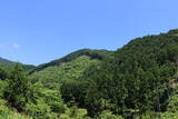 美作 鎌倉山城の写真