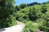 美作 鎌倉山城の写真