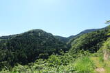 美作 鎌倉山城の写真