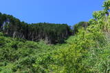 美作 鎌倉山城の写真