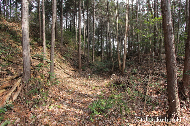 美作 神田山城(勝央町)の写真