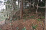 美作 神田山城(勝央町)の写真