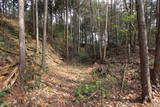 美作 神田山城(勝央町)の写真