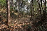 美作 神田山城(勝央町)の写真