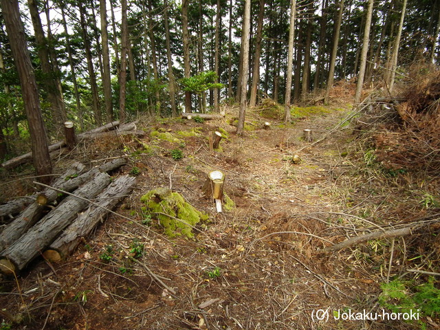 美作 金剛寺山城の写真