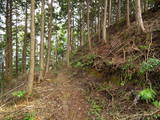 美作 金剛寺山城の写真