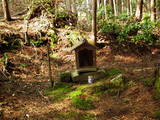 美作 金剛寺山城の写真