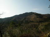 美作 金剛寺山城の写真