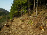 美作 金剛寺山城の写真