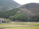 飯山城(草加部)写真