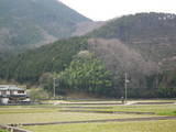 美作 飯山城(草加部)の写真