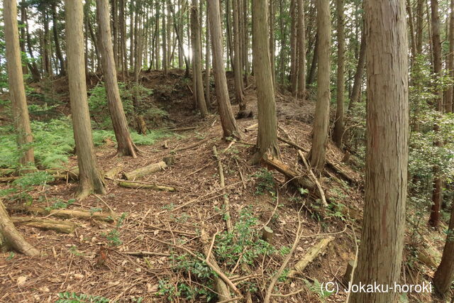 美作 高山城(美作市)の写真