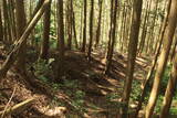 美作 高山城(美作市)の写真