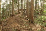 美作 高山城(美作市)の写真