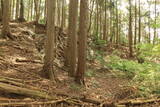 美作 高山城(美作市)の写真