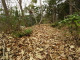 美作 槇山城の写真