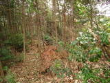 美作 槇山城の写真