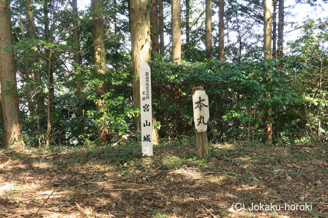 美作 宮山城(高屋)の写真