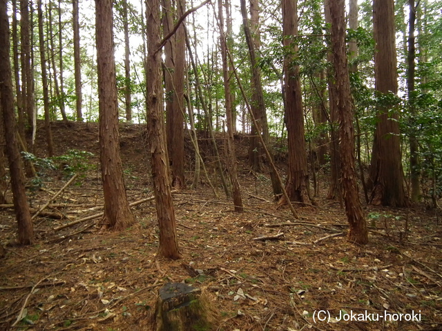 美作 本山城の写真