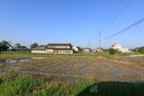 野田城写真