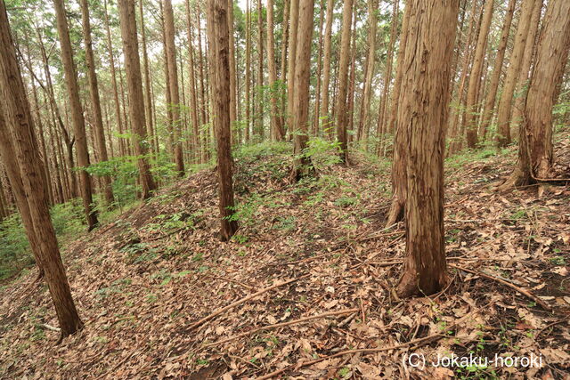 美作 茶臼山城(大垪和西)の写真