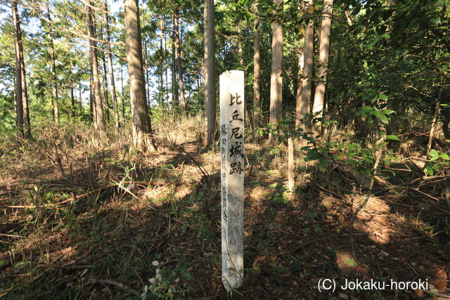 美作 比丘尼城(大町・長谷内)の写真