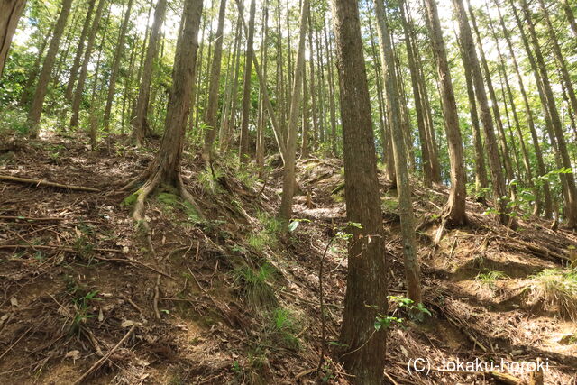 美作 越坂山城の写真