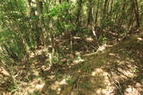 美作 越坂山城の写真