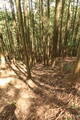 美作 越坂山城の写真
