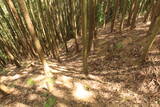 美作 越坂山城の写真