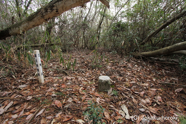 美作 嵯峨山城(南城)の写真