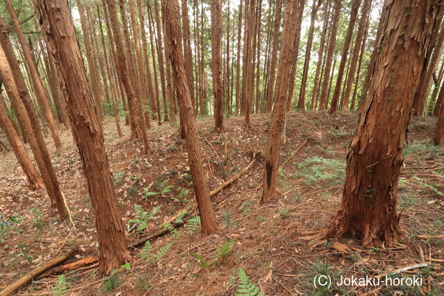 美作 城山城(西幸)の写真