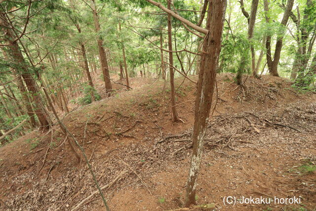 美作 小原山王山城の写真