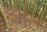 美作 小原山王山城の写真